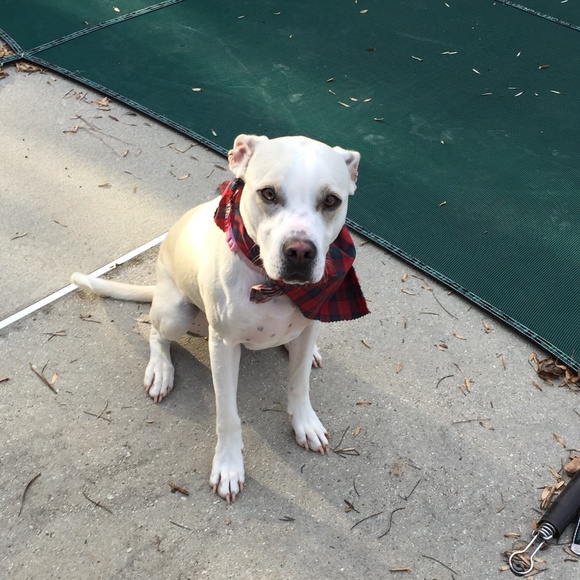 Meet your Posher! - Picture 1 of 1